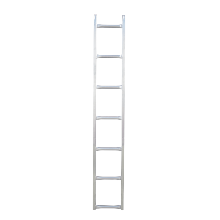 Echelle de porte pour MAN TGE